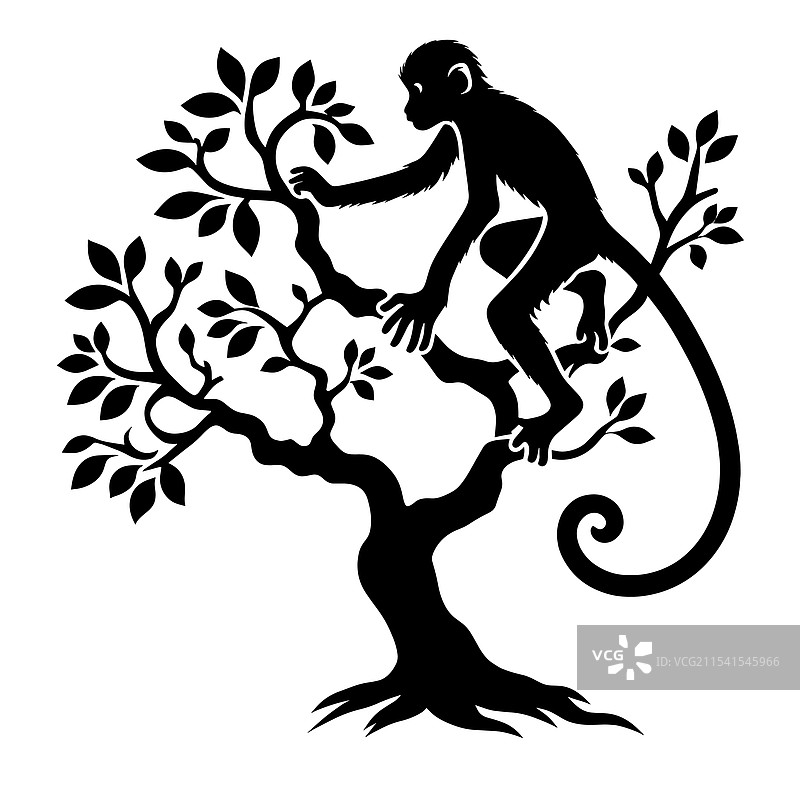 树上的猴子剪影图片素材