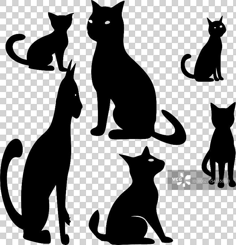 猫的剪影图像图片素材