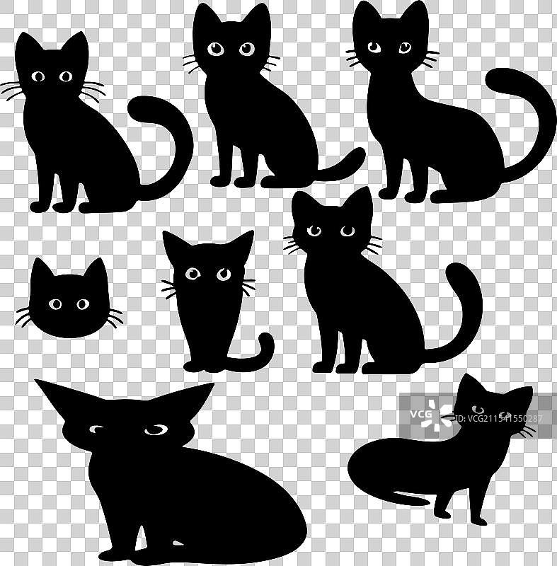 猫的剪影图像图片素材