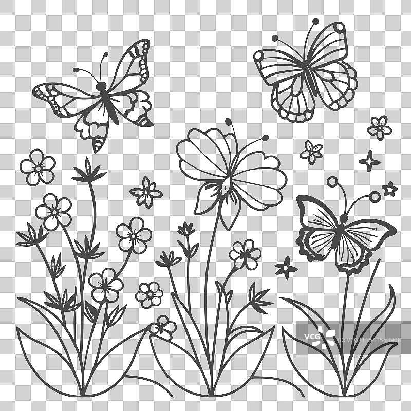 蝴蝶在花园中翩翩起舞图片素材