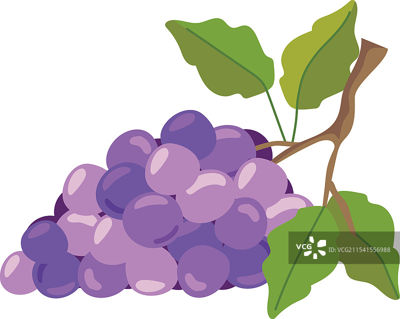 一串葡萄水果图片素材