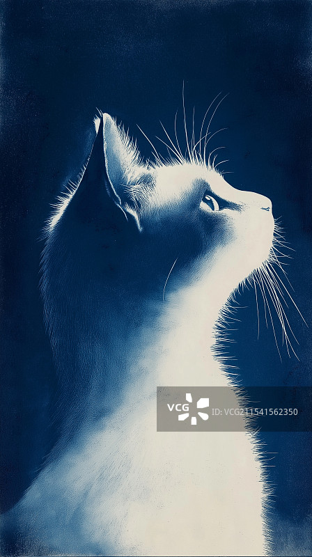 蓝晒法Cyanotype古早的摄影技法图片素材