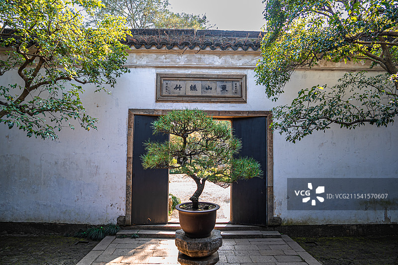 苏州 留园 盆景 庭园 庭院 中式美学 苏州园林 造景 意境图片素材