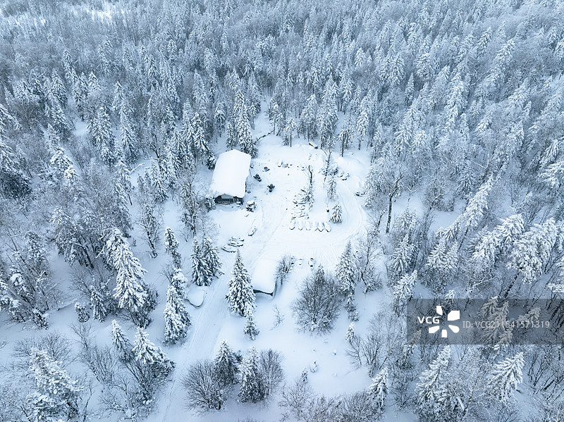 冬天航拍黑龙江中国雪乡十里冰雪画廊，林海雪原白色雾凇景观绝美风光图片素材
