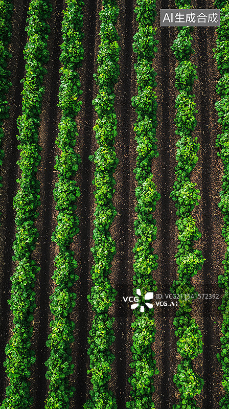 【AI数字艺术】智慧农业航拍视图秸秆覆盖还田保护黑土地土壤肥力提升、可持续耕作实践和减少化肥使用背景图片素材