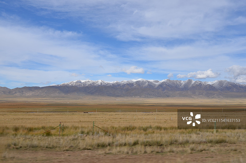 青海湖草原油菜花经幡图片素材