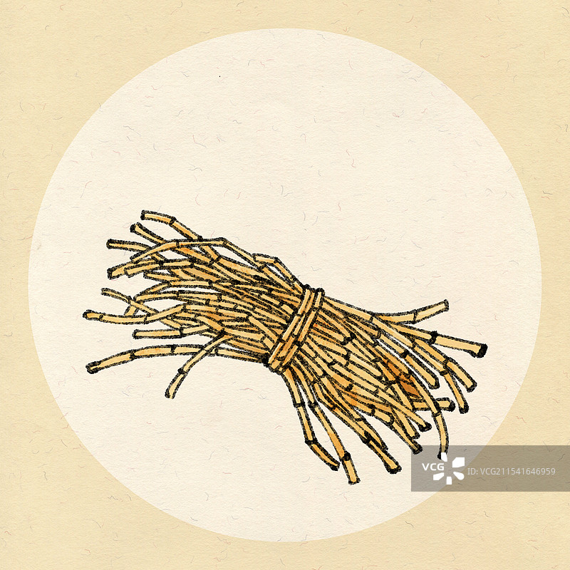 贵州美食国风插画-折耳根图片素材