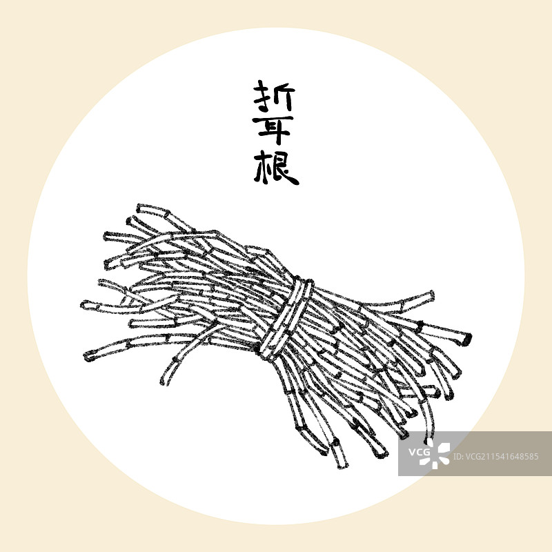 贵州美食国风插画-折耳根图片素材