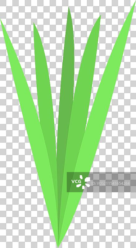 向上生长的绿色草坪，极简风格图片素材