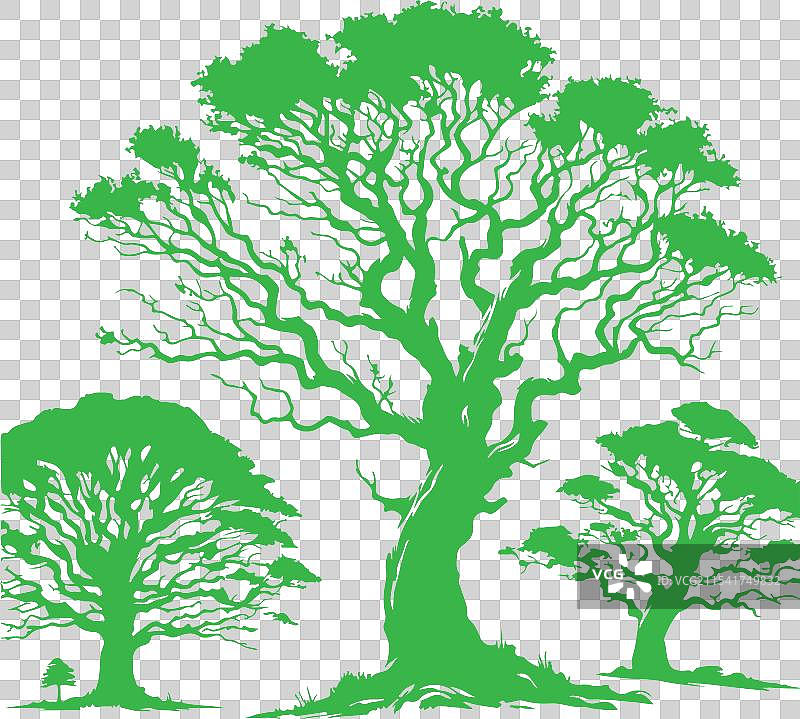 树的轮廓图片素材