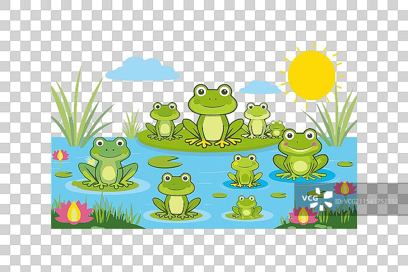 一组在池塘环境中嬉戏的青蛙图片素材