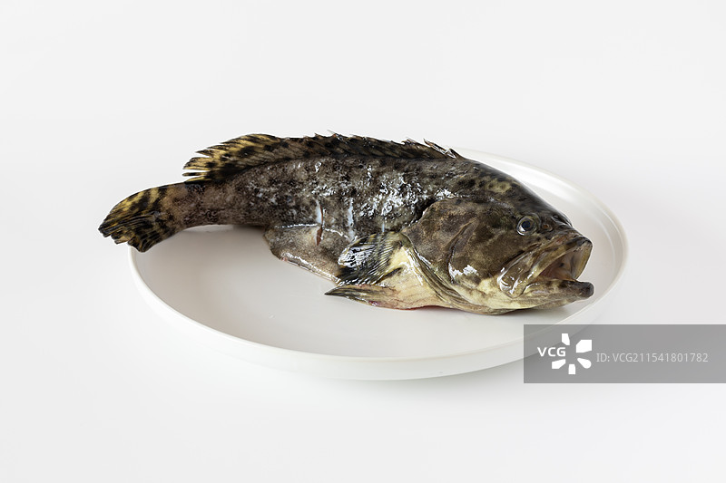 白色背景下盘子里的珍珠斑的高角度视图图片素材