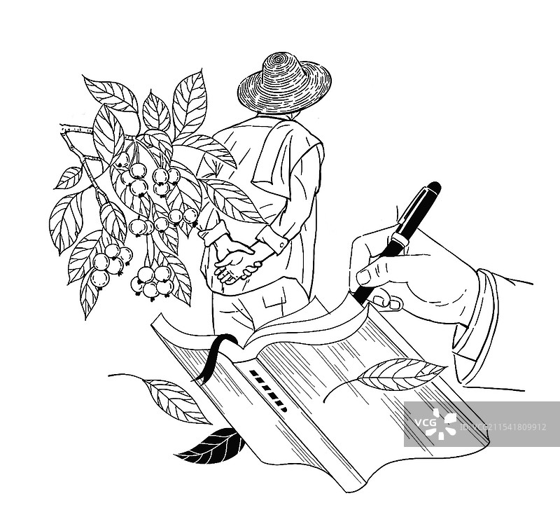 黑白线描速写农民乡村作家技术员果树枇杷种植经济记录心得干部图片素材