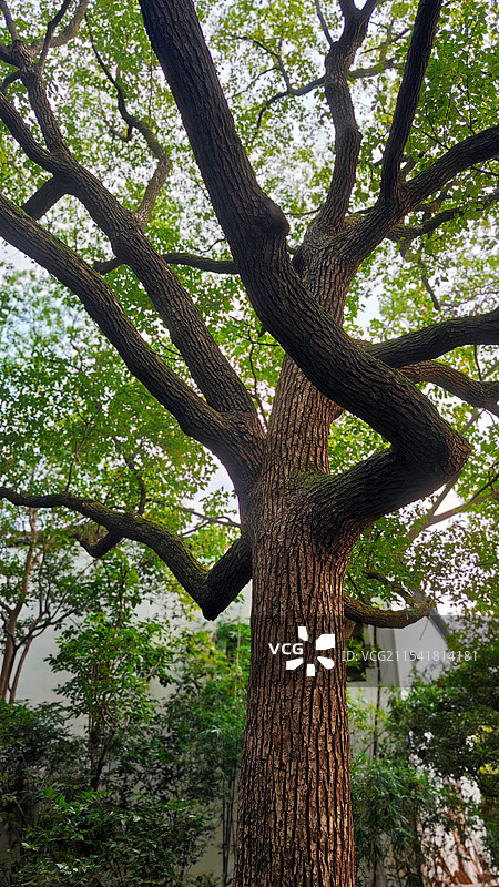 杭州西湖景区图片素材