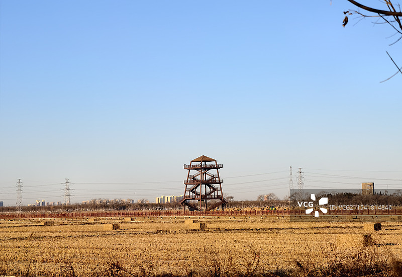 冬季稻田草方块风景图片素材