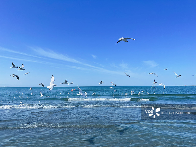 新疆和硕县金沙滩图片素材