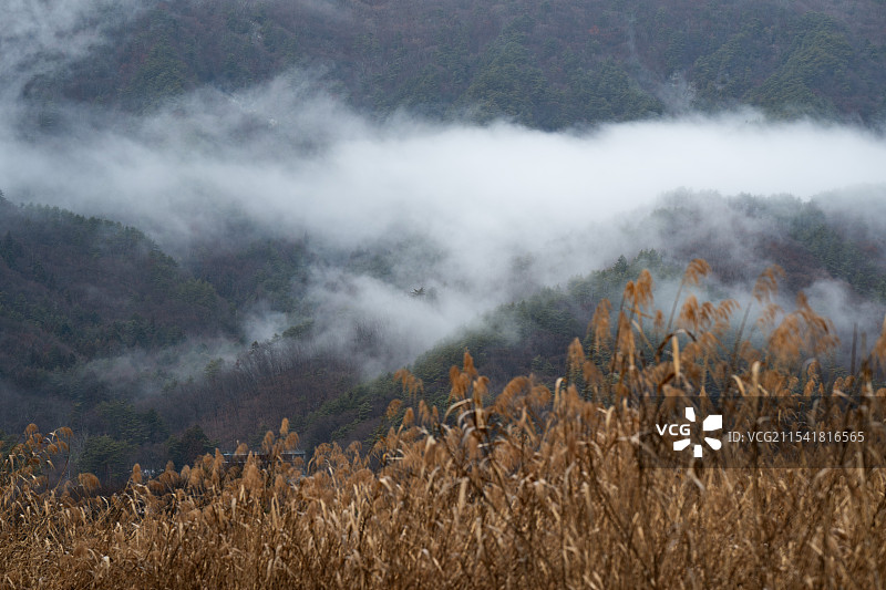 雨后的河口湖图片素材