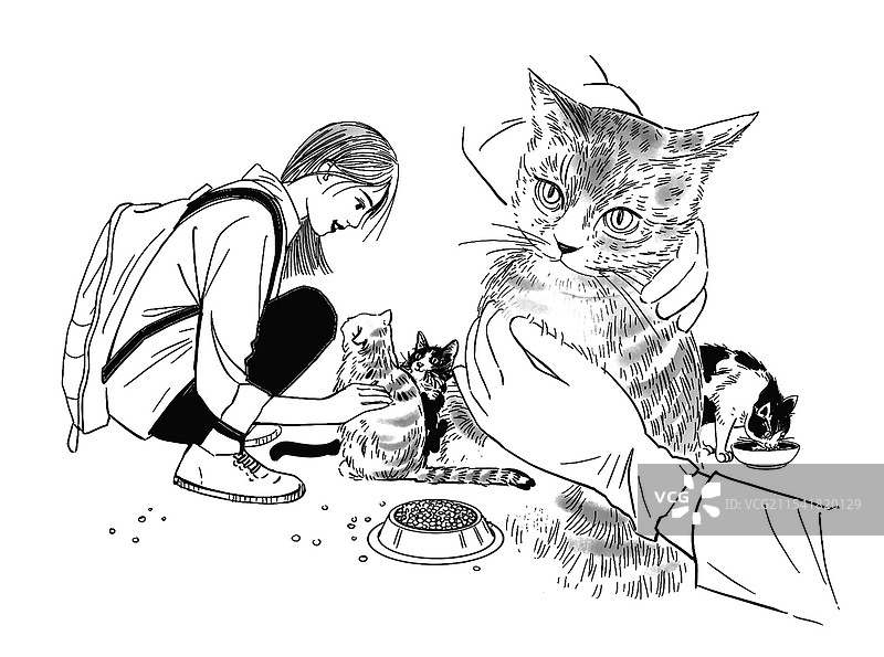 黑白线描速写 手绘 猫 动物 猫粮 喂猫养猫 女生 女人 看医生 照顾猫 义工 流浪猫图片素材