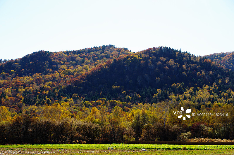 伊春九峰山养心谷图片素材