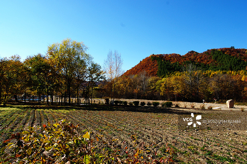 伊春九峰山养心谷图片素材