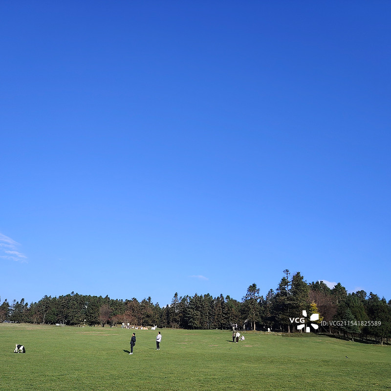 重庆游图片素材