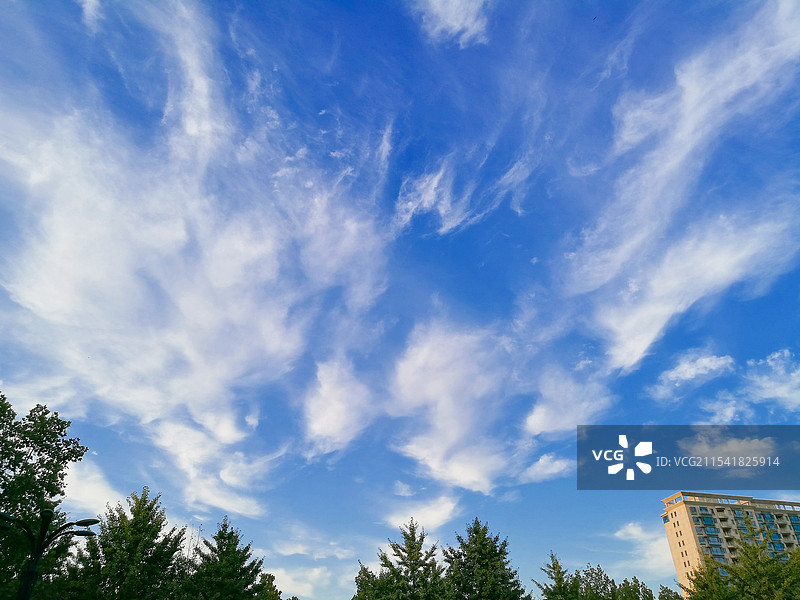 天空背景图。蓝天白云绿树高楼图片素材