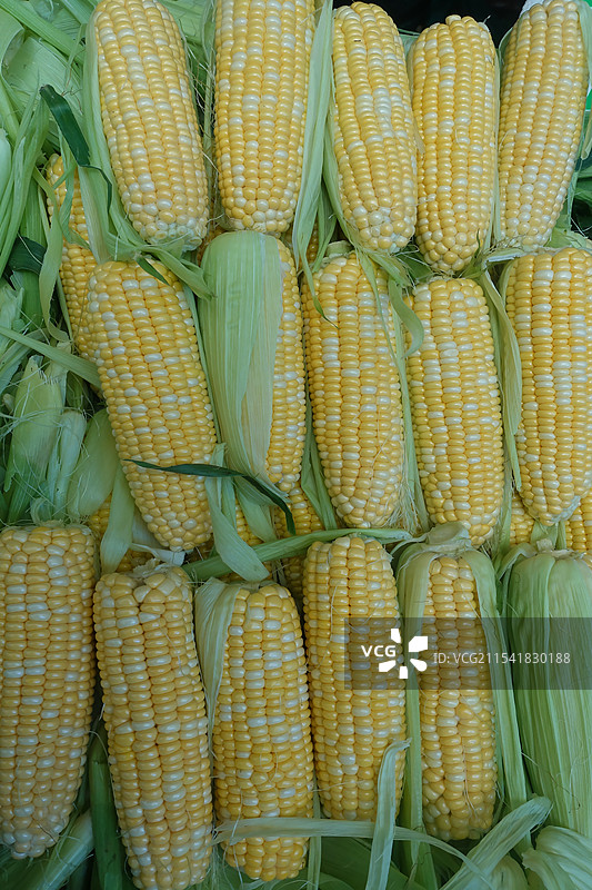 蔬菜 水果玉米图片素材