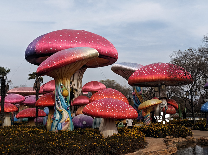 大观公园的蘑菇造型风景图片素材