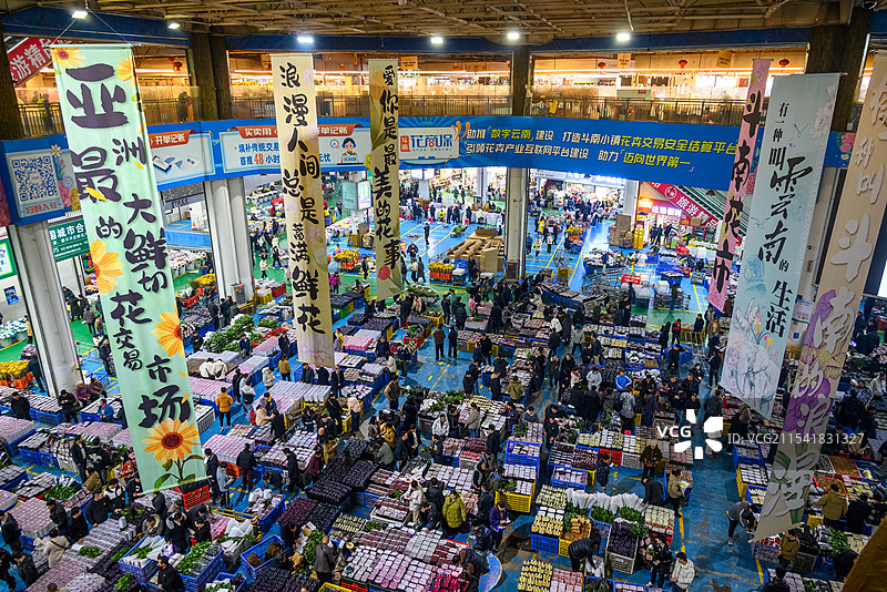昆明斗南花市市场内部图片素材