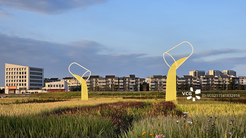 三色稻田图片素材