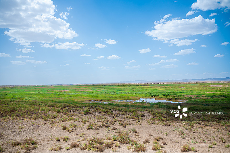 戈壁滩上的绿洲图片素材