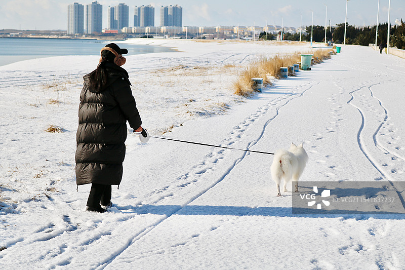 海边雪地上牵着狗的女人图片素材