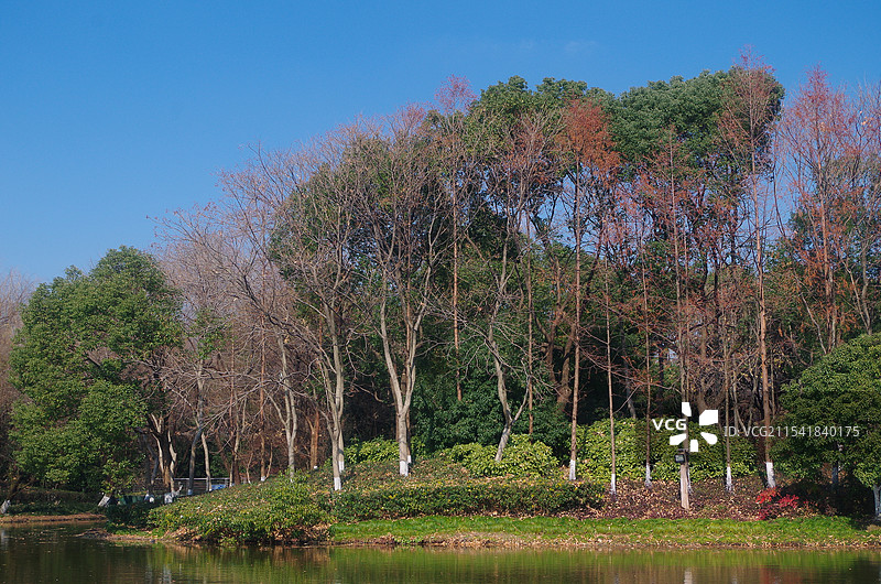 杭州城北体育公园冬季湖畔风光图片素材