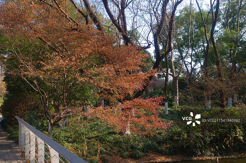 杭州城北体育公园冬季风光图片素材