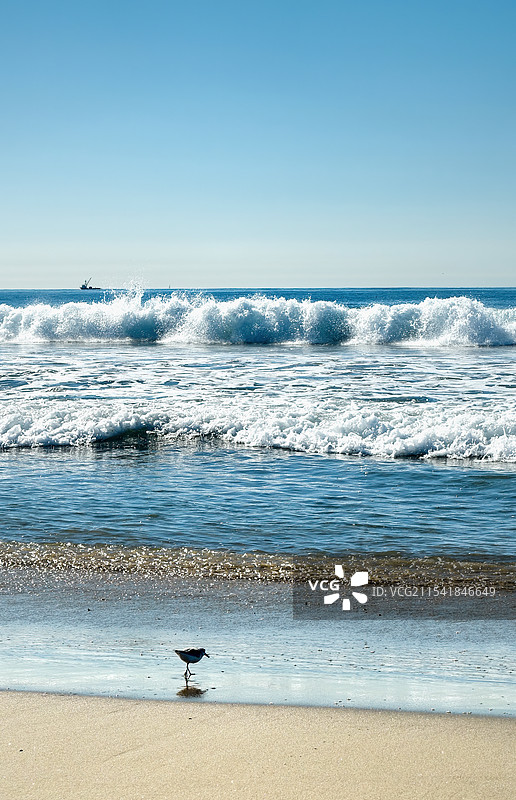 美国洛杉矶圣莫妮卡海滩Santa Monica State Beach图片素材