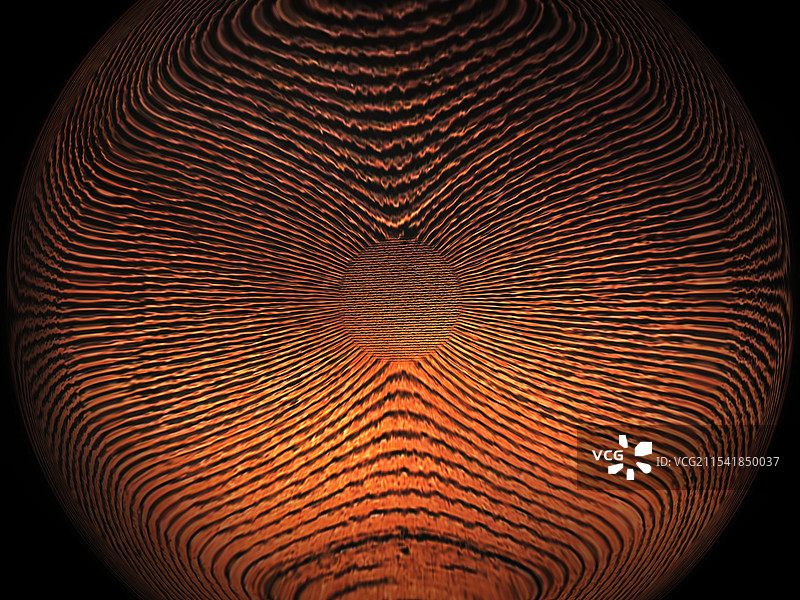 观 | 演化图片素材