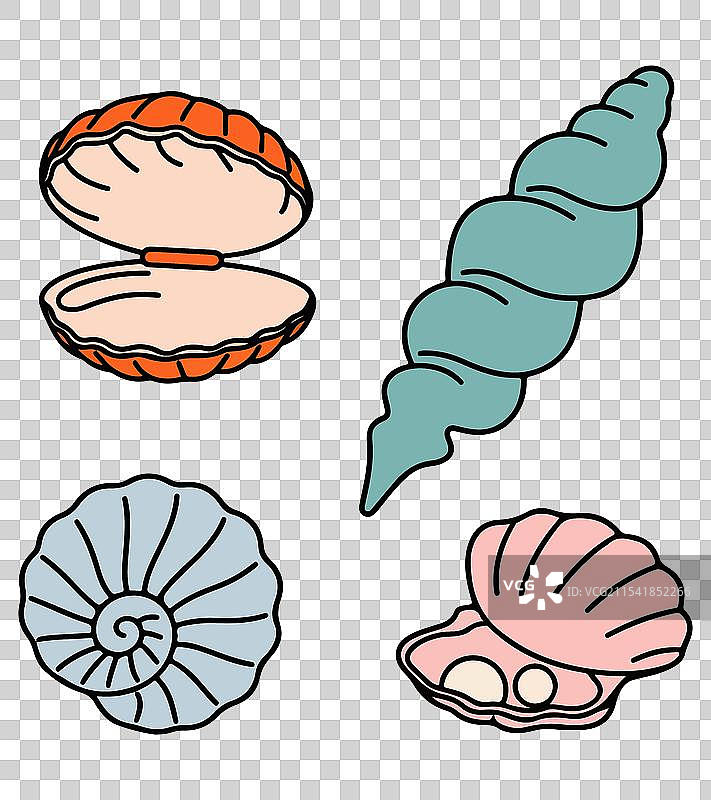 迷你海洋贝壳套装图片素材