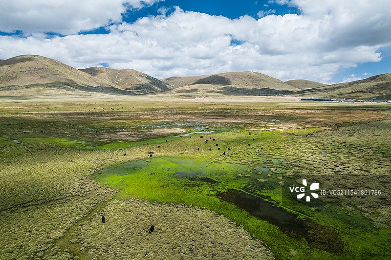 青海玉树巴塘草原航拍牧场自然风光图片素材