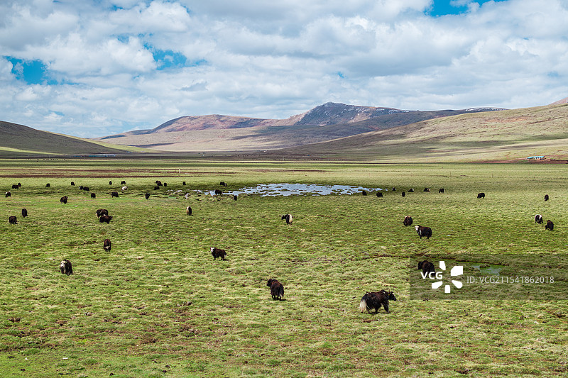 青海玉树巴塘草原航拍牧场自然风光图片素材