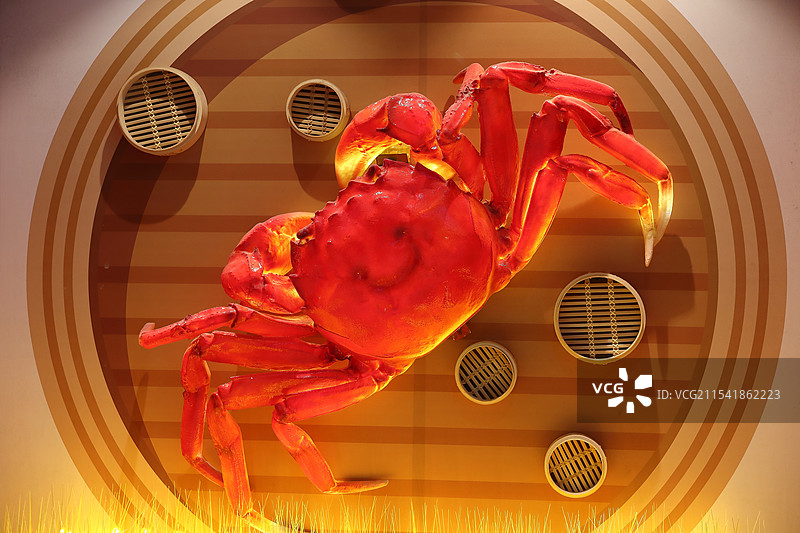 螃蟹图片素材
