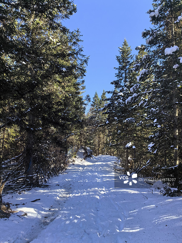 米亚罗的林海和雪原图片素材