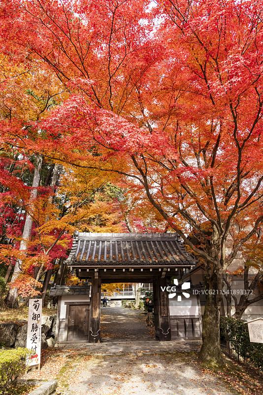 比睿山西教寺图片素材