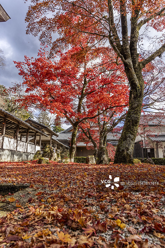 滋贺县永源寺图片素材