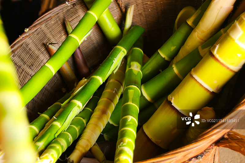 绿色食品竹笋的清新之美图片素材