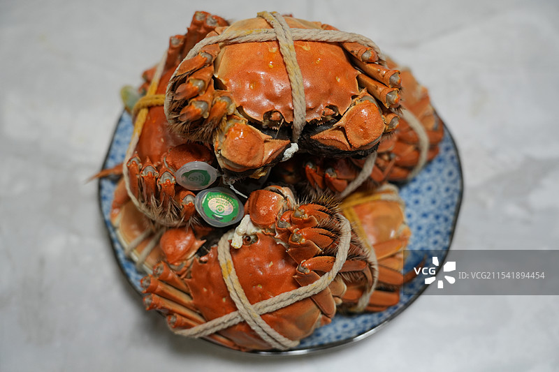 大闸蟹图片素材