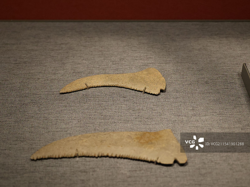 石镰（新石器时代，裴李岗文化（公元前6200-前5500），河南新郑裴李岗遗址图片素材