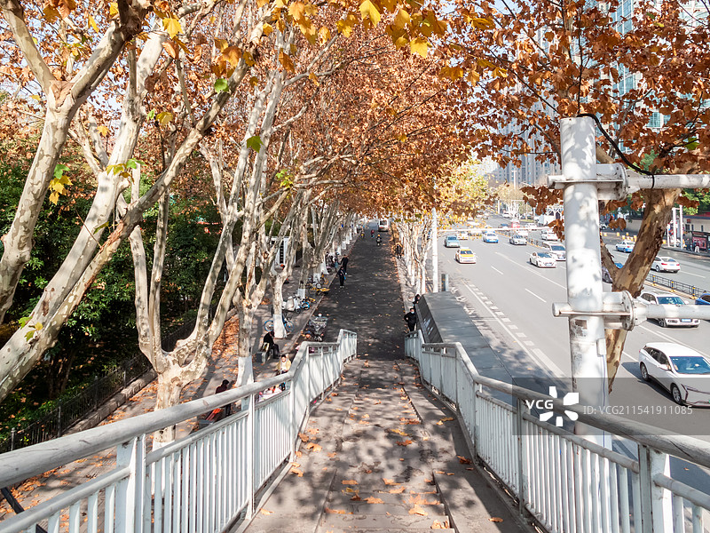 金色立交桥图片素材