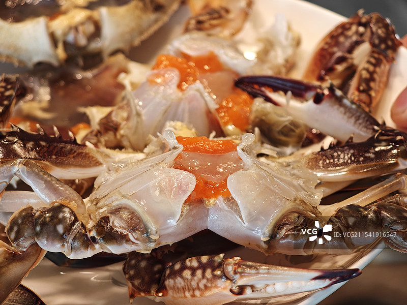 梭子蟹 肥美的梭子蟹切成块 生的蟹黄 母蟹的性腺 舟山渔场海产品 高嘌呤饮食 尿酸胆固醇升高图片素材