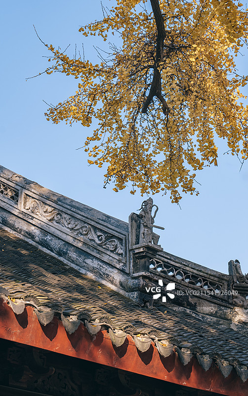 苏州定慧寺银杏树与寺庙建筑屋檐图片素材