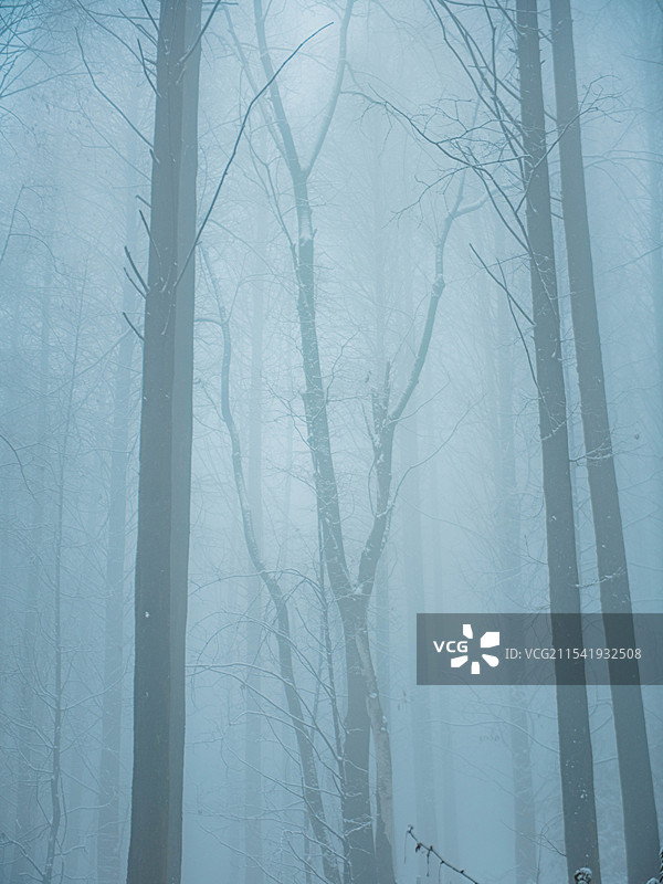 成都天国寺的雪景图片素材